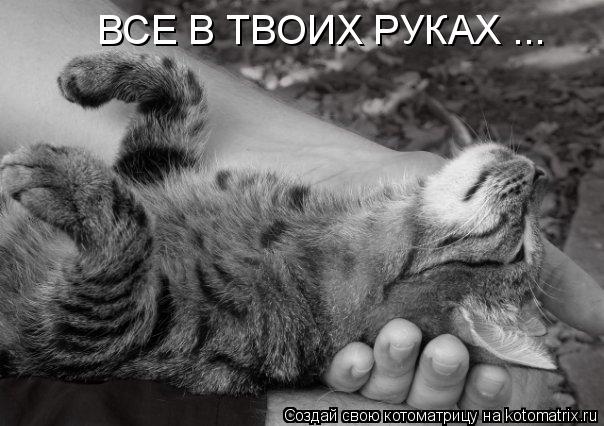 ВСЕ В ТВОИХ РУКАХ ...... Котоматрица: ВСЕ В ТВОИХ РУКАХ ...