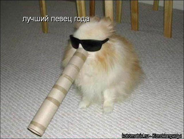 лучший певец года... Котоматрица: лучший певец года