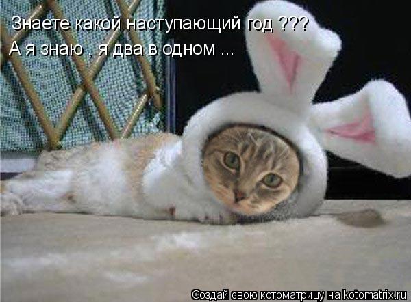 Знаете какой наступающий год ??? А я знаю , я два в одном ...... Котоматрица: Знаете какой наступающий год ??? А я знаю , я два в одном ...