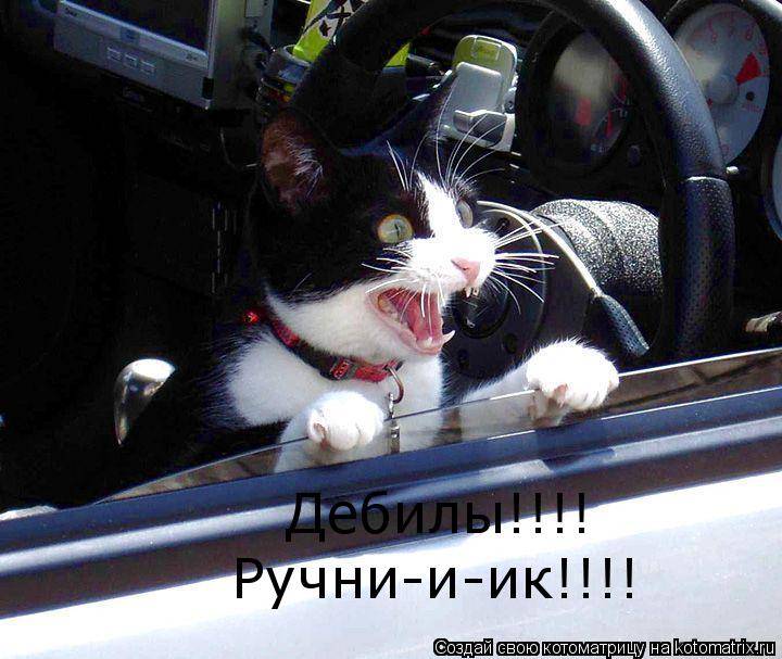 Дебилы!!!! Ручни-и-ик!!!!... Котоматрица: Дебилы!!!! Ручни-и-ик!!!!