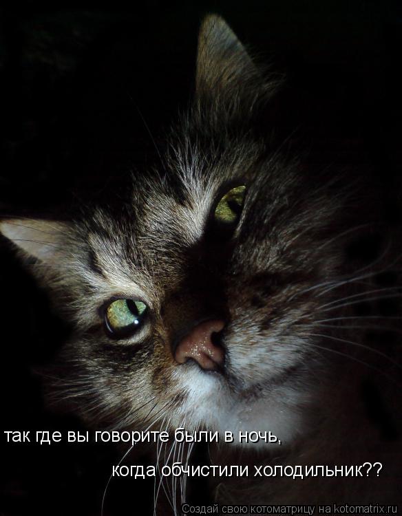 Котоматрица: так где вы говорите были в ночь,    когда обчистили холодильник??