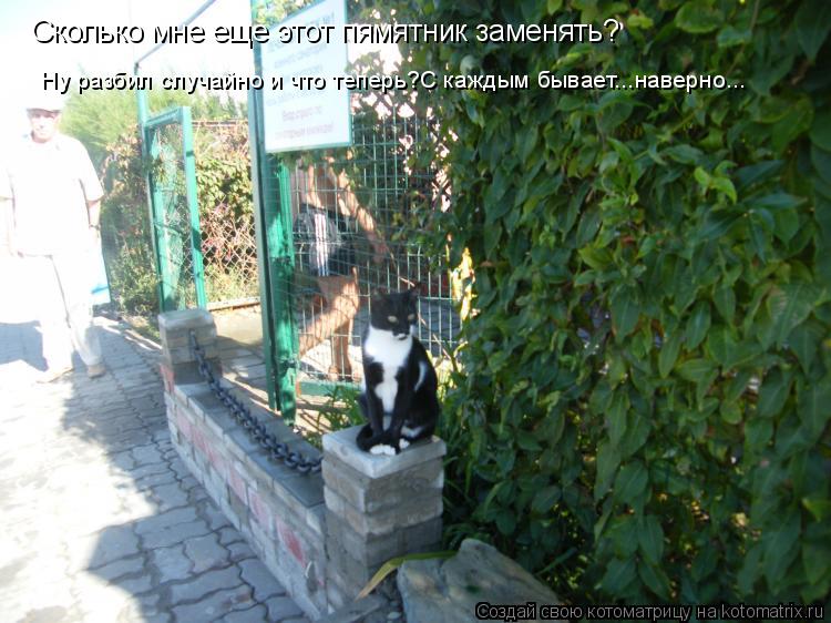 Сколько мне еще этот пямятник заменять? Ну разбил случайно и что теперь?С каждым бывает...наверно...... Котоматрица: Сколько мне еще этот пямятник заменять? Ну разбил случайно и что теперь?С каждым бывает...наверно...