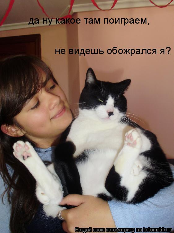 да ну какое там поиграем, не видешь обожрался я?... Котоматрица: да ну какое там поиграем, не видешь обожрался я?