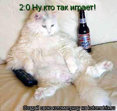 2:0 Ну кто так играет!... Котоматрица: 2:0 Ну кто так играет!