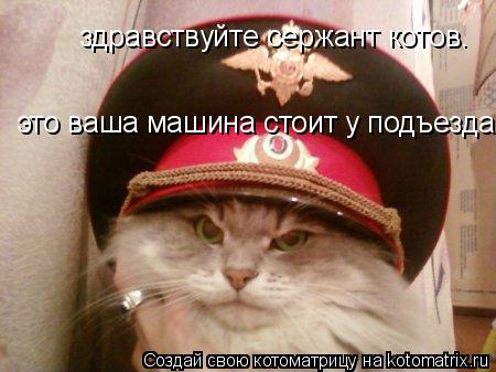 здравствуйте сержант котов. это ваша машина стоит у подъезда... Котоматрица: здравствуйте сержант котов. это ваша машина стоит у подъезда