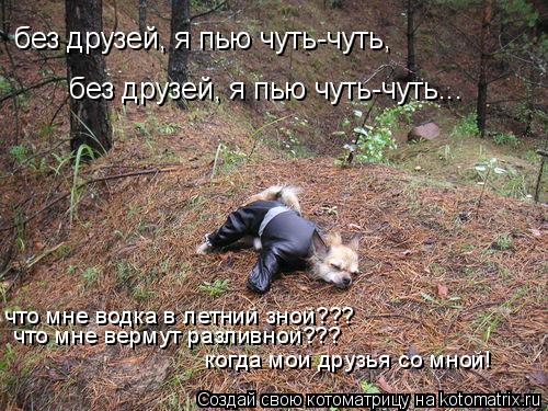 без друзей, я пью чуть-чуть, без друзей, я пью чуть-чуть... что мне водка в летний зной??? что мне ве... Котоматрица: без друзей, я пью чуть-чуть, без друзей, я пью чуть-чуть... что мне водка в летний зной??? что мне вермут разливной??? когда мои друзья со мной!
