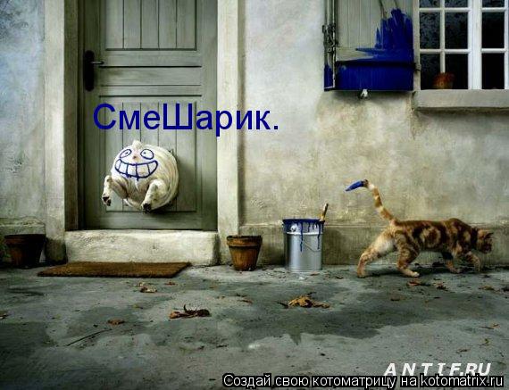 СмеШарик.... Котоматрица: СмеШарик.