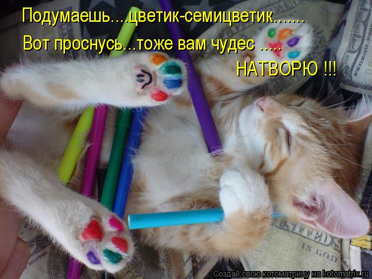 Подумаешь....цветик-семицветик....... НАТВОРЮ !!! Вот проснусь...тоже вам чудес ........ Котоматрица: Подумаешь....цветик-семицветик....... НАТВОРЮ !!! Вот проснусь...тоже вам чудес .....