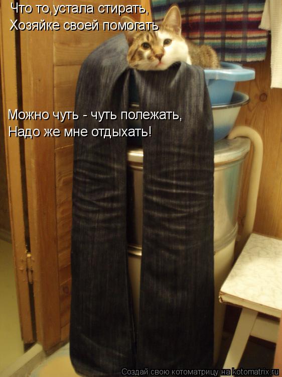 Что то,устала стирать, Хозяйке своей помогать Можно чуть - чуть полежать, Надо же мне отдыхать!... Котоматрица: Что то,устала стирать, Хозяйке своей помогать Можно чуть - чуть полежать, Надо же мне отдыхать!