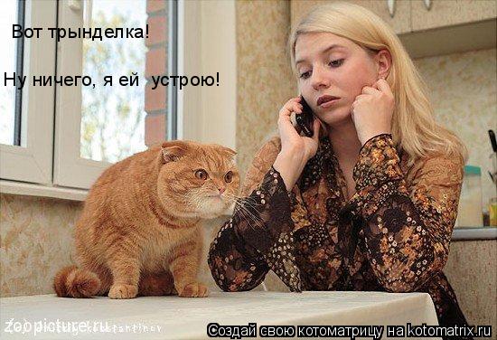 Вот трынделка! Ну ничего, я ей устрою!... Котоматрица: Вот трынделка! Ну ничего, я ей устрою!