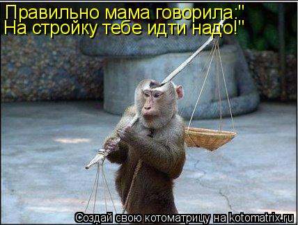 Правильно мама говорила:" На стройку тебе идти надо!"... Котоматрица: Правильно мама говорила:" На стройку тебе идти надо!"