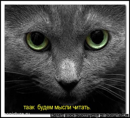 таак будем мысли читать.... Котоматрица: таак будем мысли читать.