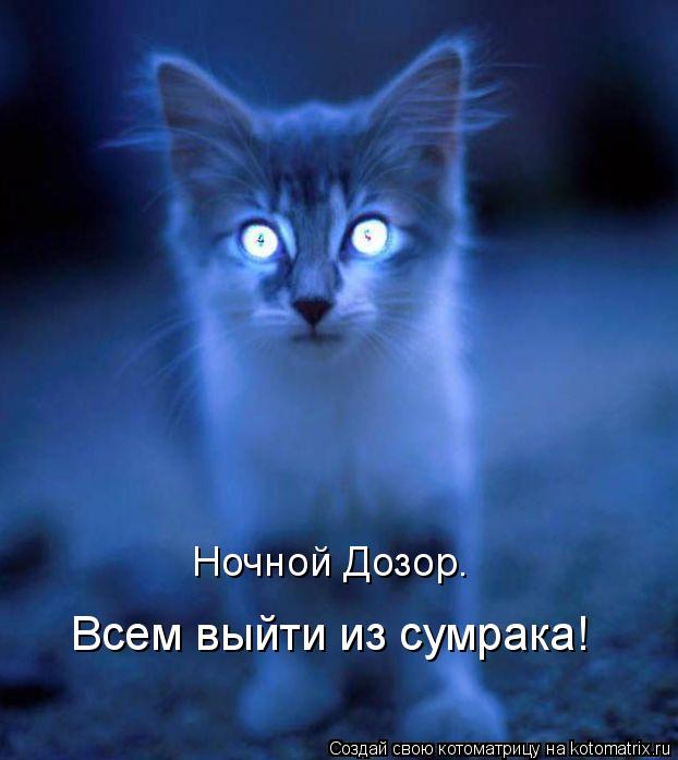 Ночной Дозор. Всем выйти из сумрака!... Котоматрица: Ночной Дозор. Всем выйти из сумрака!