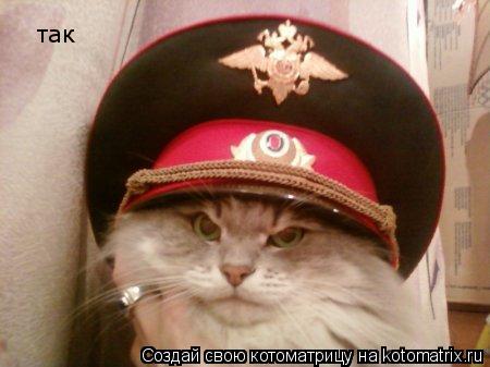 так... Котоматрица: так