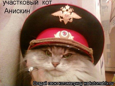 участковый кот Анискин... Котоматрица: участковый кот Анискин
