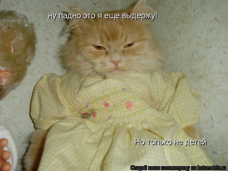 Котоматрица: ну ладно это я еще выдержу! Но только не детей