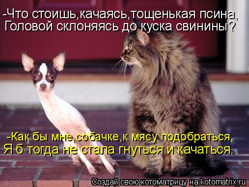 -Что стоишь,качаясь,тощенькая псина, Головой склоняясь до куска свинины? -Как бы мне,собачке,к мясу п... Котоматрица: -Что стоишь,качаясь,тощенькая псина, Головой склоняясь до куска свинины? -Как бы мне,собачке,к мясу подобраться, Я б тогда не стала гнуться и
