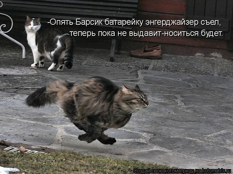 Котоматрица: -Опять Барсик батарейку энгерджайзер съел, теперь пока не выдавит-носиться будет.