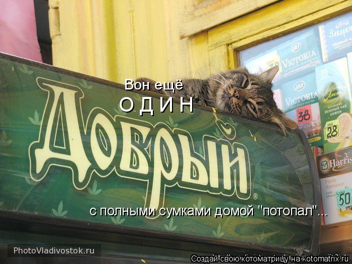 Котоматрица: О Д И Н с полными сумками домой "потопал"... Вон ещё