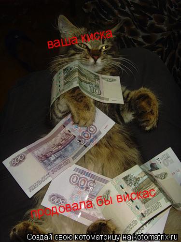 Котоматрица: ваша киска     продовала бы вискас