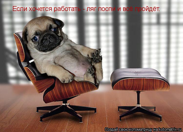 Если хочется работать - ляг поспи и всё пройдёт.... Котоматрица: Если хочется работать - ляг поспи и всё пройдёт.