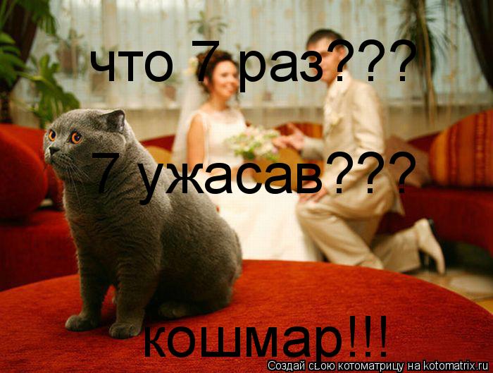 Котоматрица: что 7 раз??? 7 ужасав??? кошмар!!!