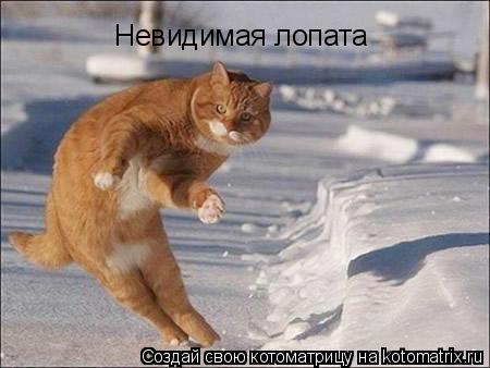 Котоматрица: Невидимая лопата