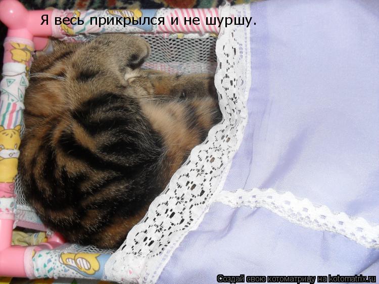 Котоматрица: Я весь прикрылся и не шуршу.  Я весь прикрылся и не шуршу.