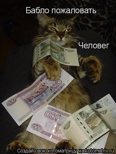Котоматрица: Бабло пожаловать Человег