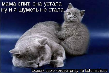 Котоматрица: мама спит, она устала ну и я шуметь не стала.