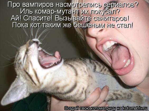 Котоматрица: Про вампиров насмотрелись сериалов? Иль комар-мутант их покусал? Ай! Спасите! Вызывайте санитаров! Пока кот таким же бешеным не стал!