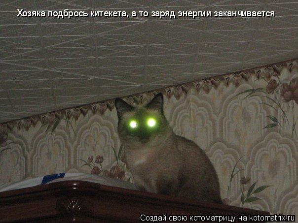 Котоматрица: Хозяка подбрось китекета, а то заряд энергии заканчивается