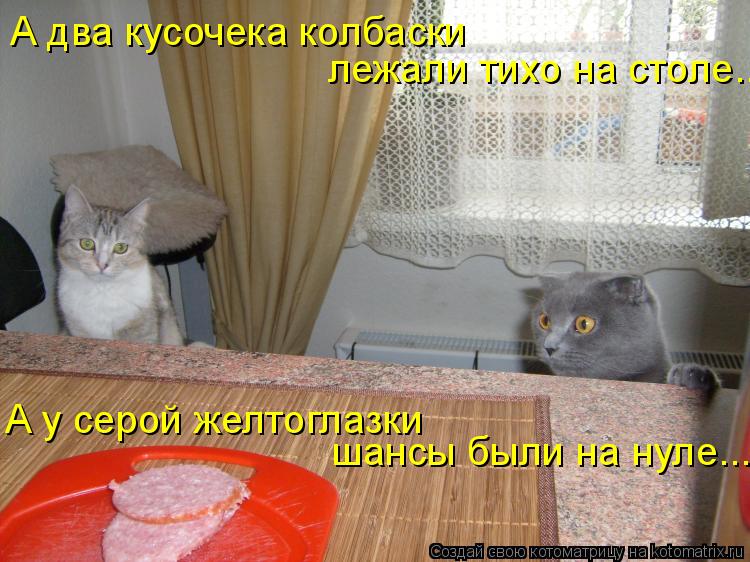 Котоматрица: А два кусочека колбаски  лежали тихо на столе.. А у серой желтоглазки  шансы были на нуле...