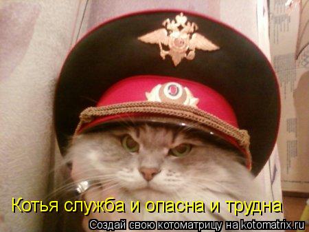 Котоматрица: Котья служба и опасна и трудна