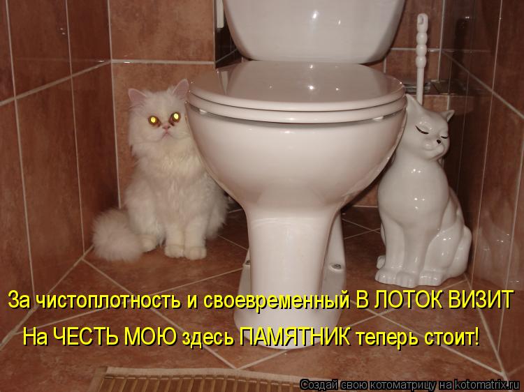 Котоматрица: За чистоплотность и своевременный В ЛОТОК ВИЗИТ На ЧЕСТЬ МОЮ здесь ПАМЯТНИК теперь стоит!