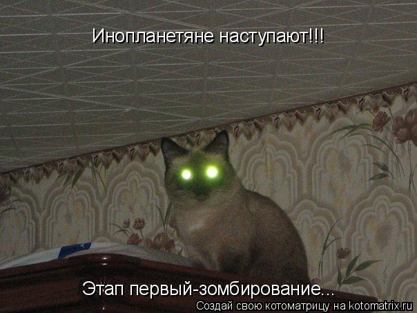 Котоматрица: Этап первый-зомбирование... Инопланетяне наступают!!!