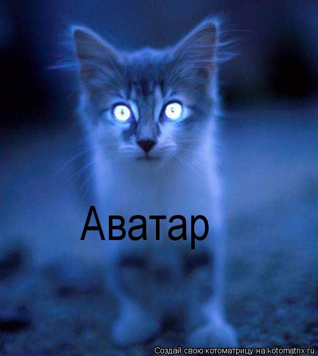 Котоматрица: Аватар