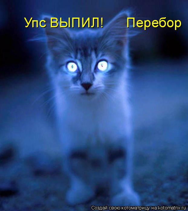 Котоматрица: Упс ВЫПИЛ!      Перебор
