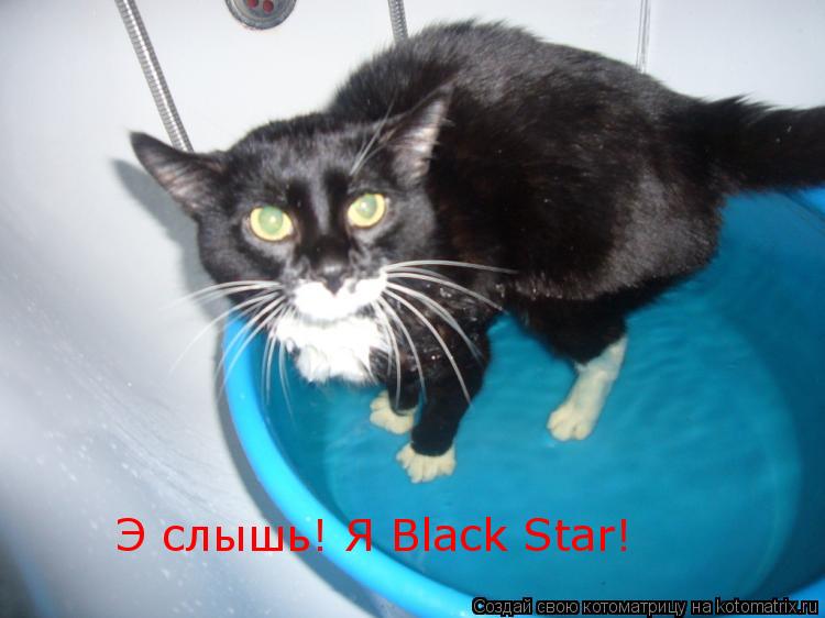 Котоматрица: Э слышь! Я Black Star!