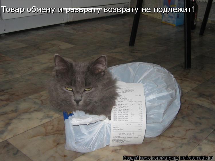 Котоматрица: Товар обмену и разврату возврату не подлежит! ________ ________