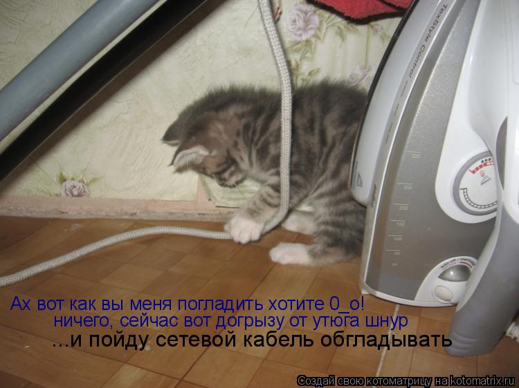 Котоматрица: Ах вот как вы меня погладить хотите 0_о! ничего, сейчас вот догрызу от утюга шнур  ...и пойду сетевой кабель обгладывать