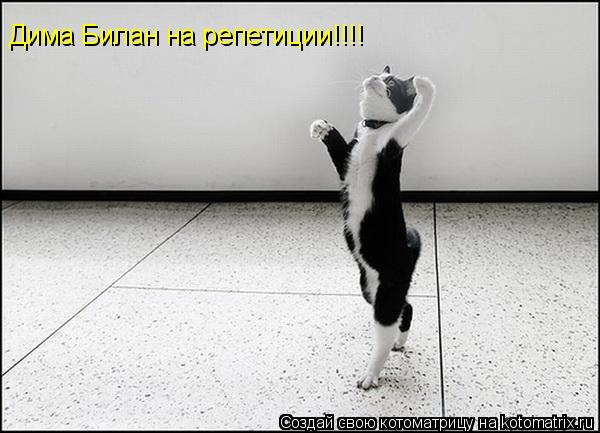 Котоматрица: Дима Билан на репетиции!!!!