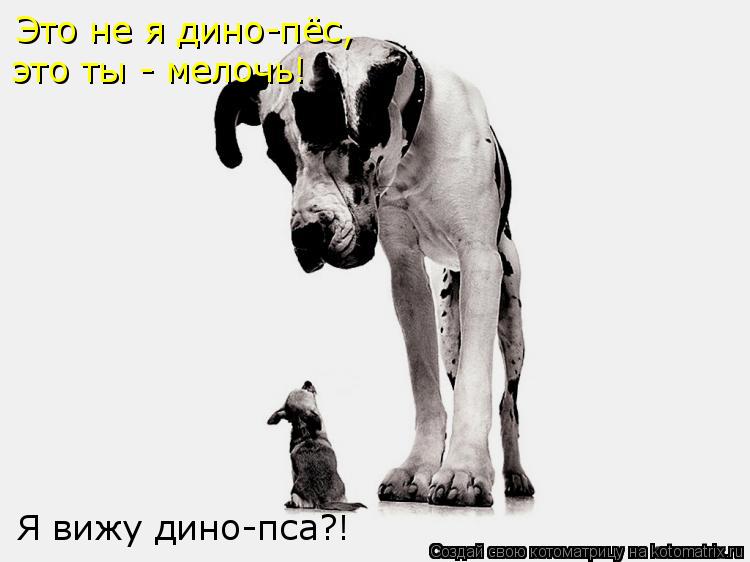 Котоматрица: Я вижу дино-пса?! Это не я дино-пёс, это ты - мелочь!