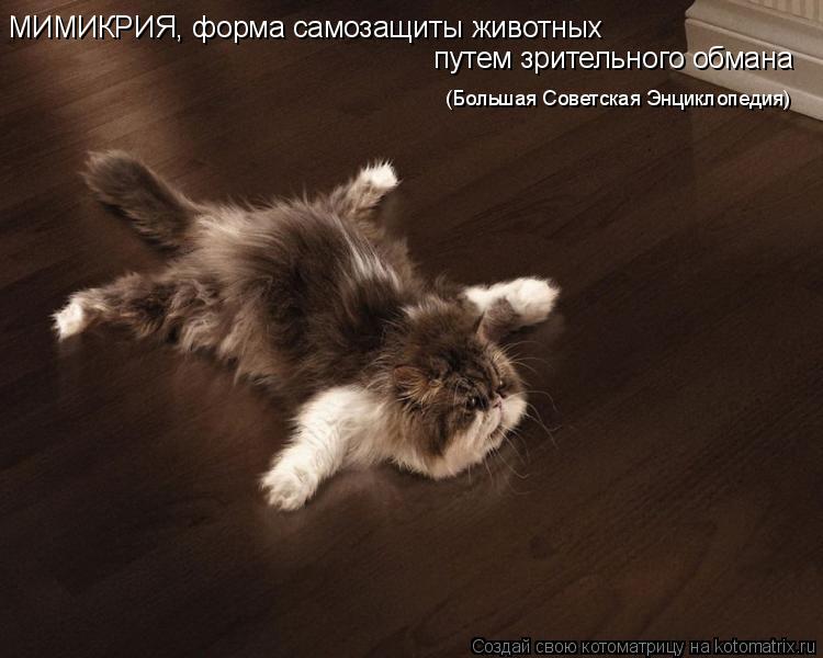 Котоматрица: МИМИКРИЯ, форма самозащиты животных   путем зрительного обмана (Большая Советская Энциклопедия)