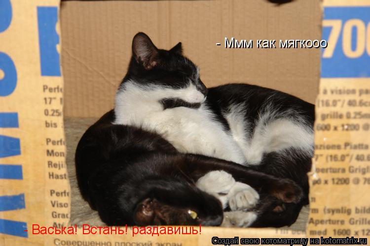 Котоматрица: - Ммм как мягкооо - Васька! Встань! раздавишь!