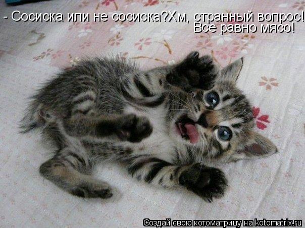 Котоматрица: - Сосиска или не сосиска?Хм, странный вопрос! Все равно мясо!