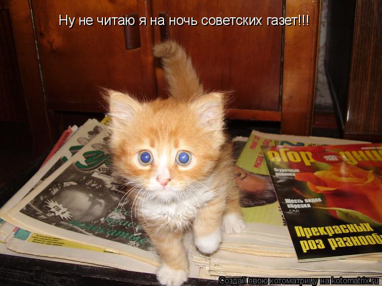 Котоматрица: Ну не читаю я на ночь советских газет!!!