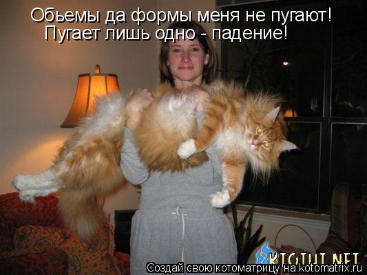 Котоматрица: Обьемы да формы меня не пугают! Пугает лишь одно - падение!