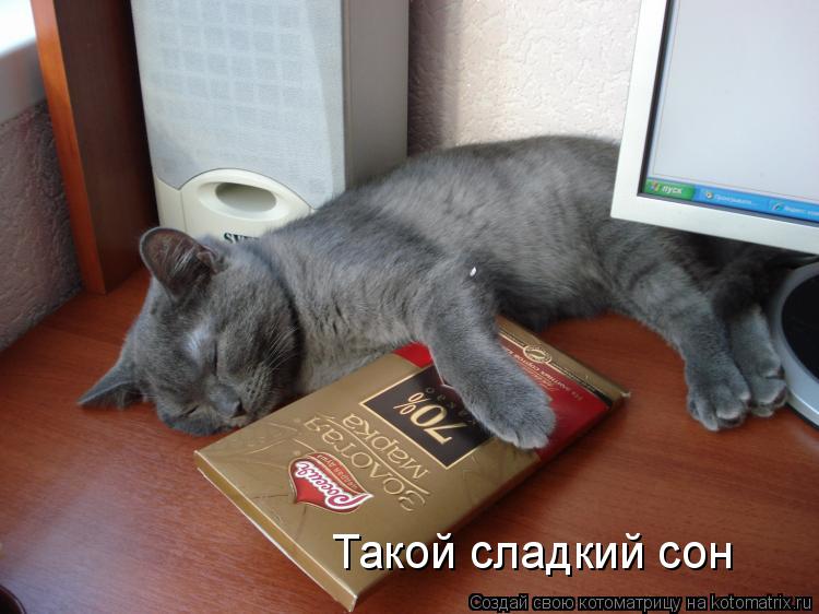Котоматрица: Такой сладкий сон