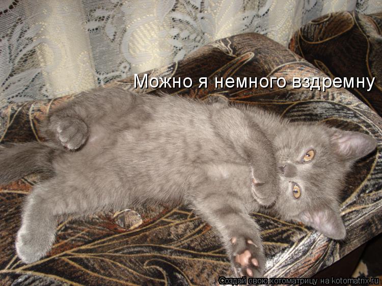 Котоматрица: Можно я немного вздремну